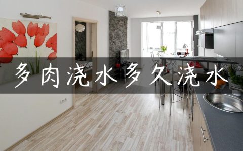 多肉浇水多久浇水