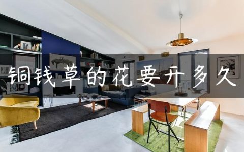 铜钱草的花要开多久