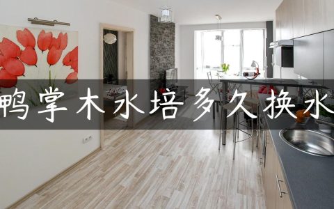 鸭掌木水培多久换水