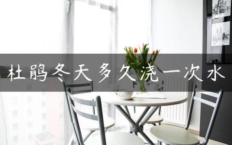 杜鹃冬天多久浇一次水