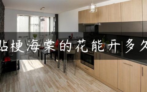 贴梗海棠的花能开多久