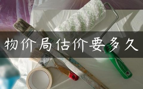 物价局估价要多久