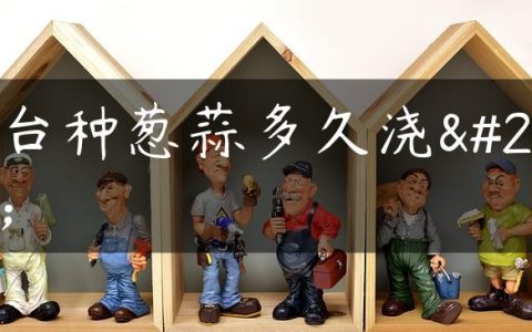 阳台种葱蒜多久浇水