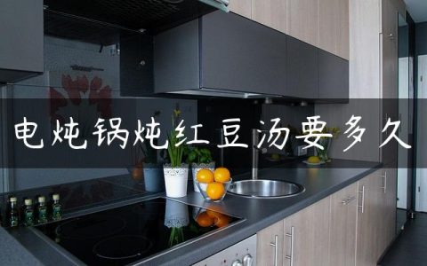 电炖锅炖红豆汤要多久