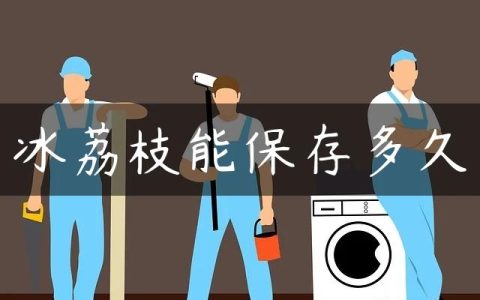 冰荔枝能保存多久
