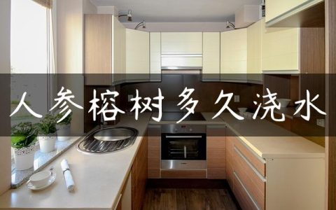 人参榕树多久浇水