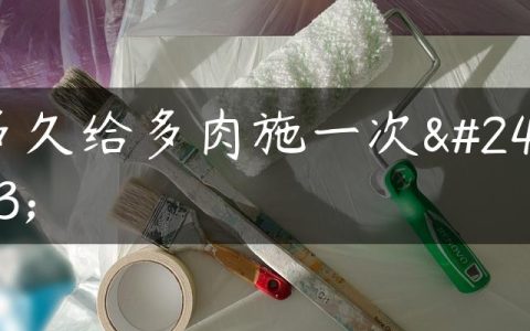 多久给多肉施一次废