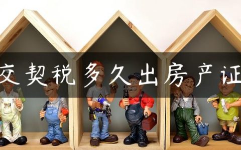 交契税多久出房产证