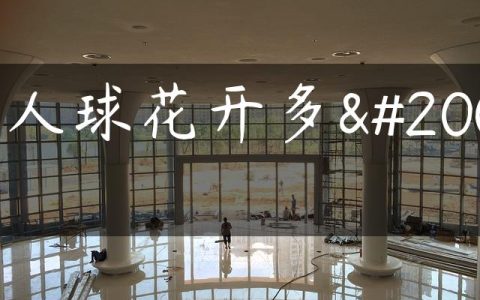 仙人球花开多久