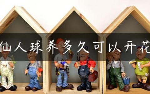 仙人球养多久可以开花