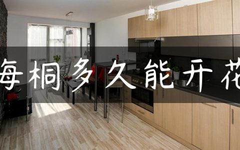 海桐多久能开花