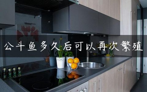 公斗鱼多久后可以再次繁殖