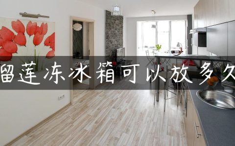 榴莲冻冰箱可以放多久
