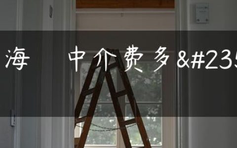 上海    中介费多少