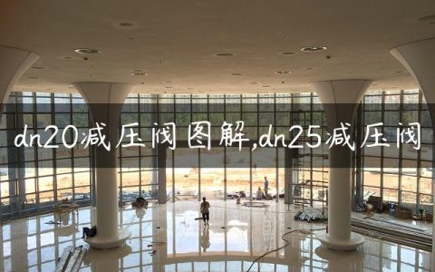 dn20减压阀图解,dn25减压阀