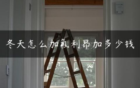 冬天怎么加氟利昂加多少钱