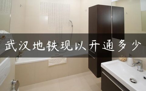 武汉地铁现以开通多少