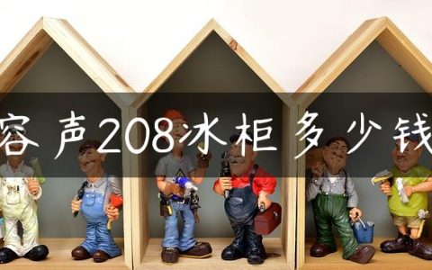 容声208冰柜多少钱