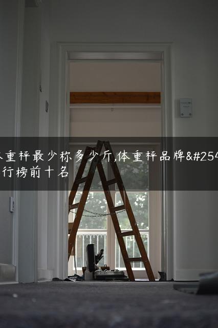 体重秤最少称多少斤,体重秤品牌排行榜前十名