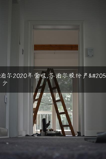 苏泊尔2020年营收,苏泊尔股份产值多少