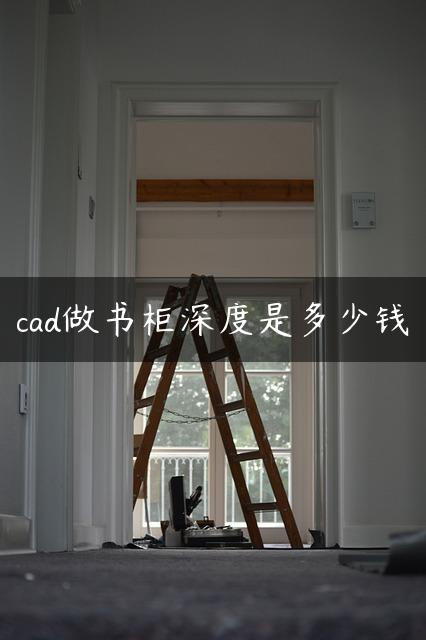 cad做书柜深度是多少钱