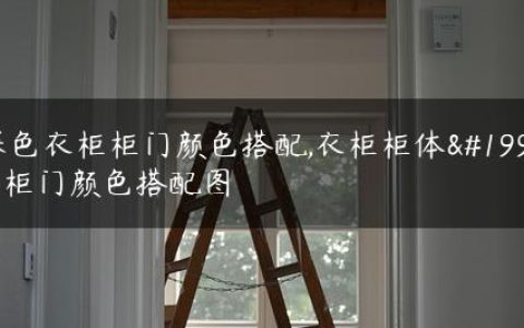深色衣柜柜门颜色搭配,衣柜柜体与柜门颜色搭配图