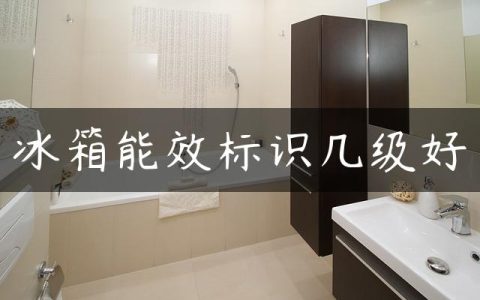 冰箱能效标识几级好