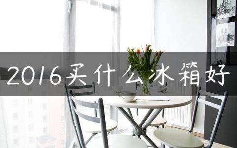 2016买什么冰箱好