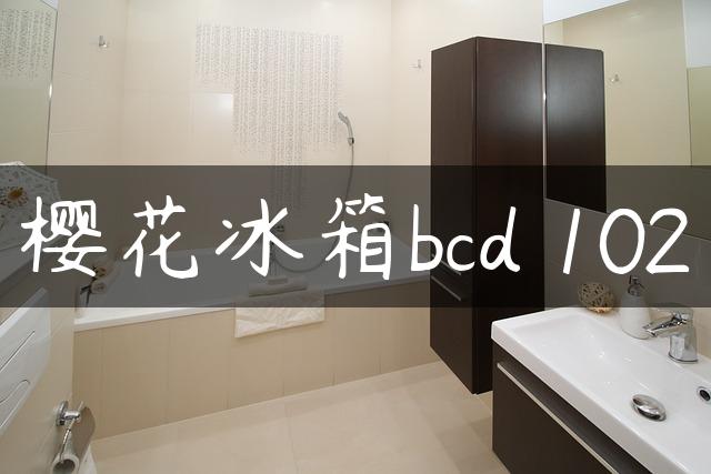 樱花冰箱bcd 102