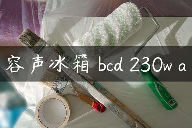 容声冰箱 bcd 230w a