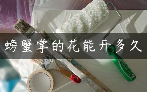 螃蟹掌的花能开多久