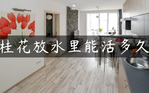 桂花放水里能活多久
