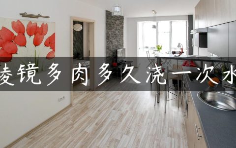 棱镜多肉多久浇一次水