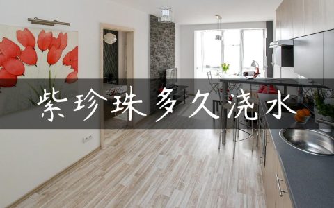 紫珍珠多久浇水