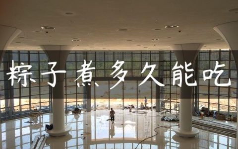 粽子煮多久能吃