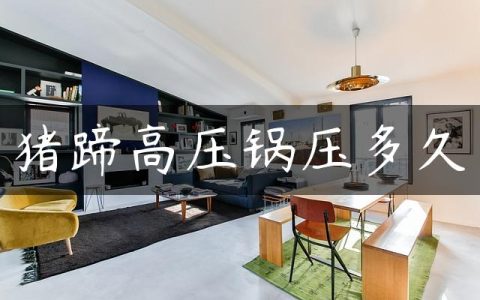 猪蹄高压锅压多久