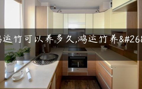 鸿运竹可以养多久,鸿运竹养植