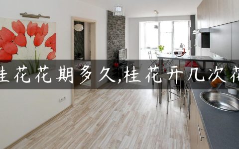 桂花花期多久,桂花开几次花