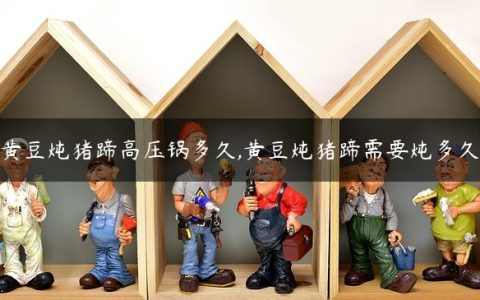 黄豆炖猪蹄高压锅多久,黄豆炖猪蹄需要炖多久