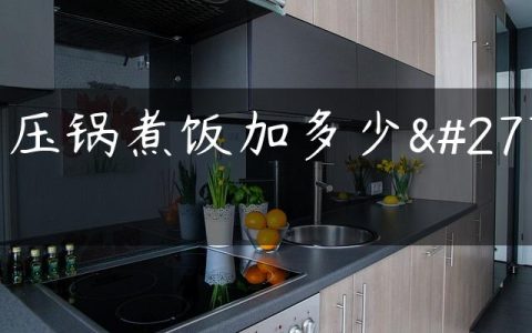 高压锅煮饭加多少水