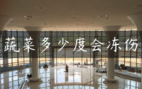 蔬菜多少度会冻伤