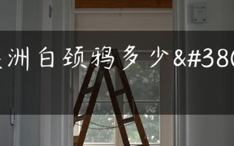 美洲白颈鸦多少钱