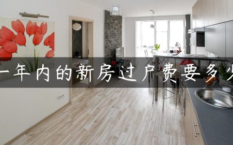 一年内的新房过户费要多少