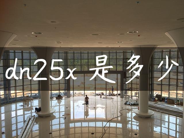 dn25x 是多少