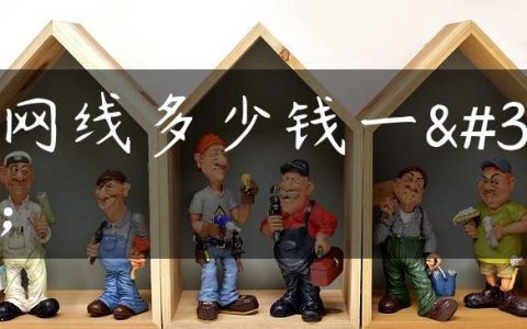 上网线多少钱一米