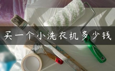 买一个小洗衣机多少钱