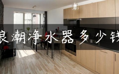 浪潮净水器多少钱