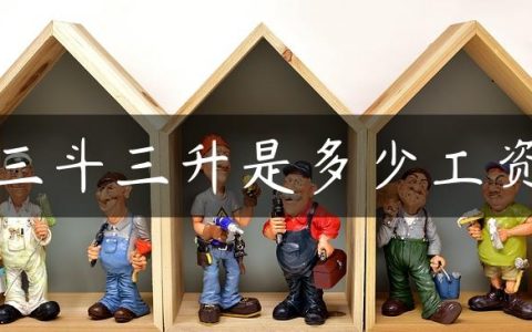 三斗三升是多少工资