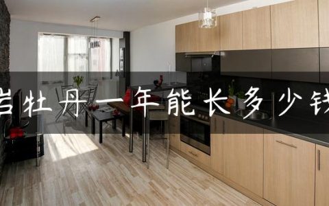 岩牡丹一年能长多少钱