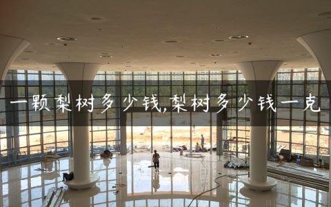 一颗梨树多少钱,梨树多少钱一克